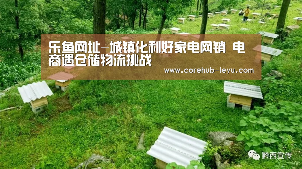 乐鱼官网