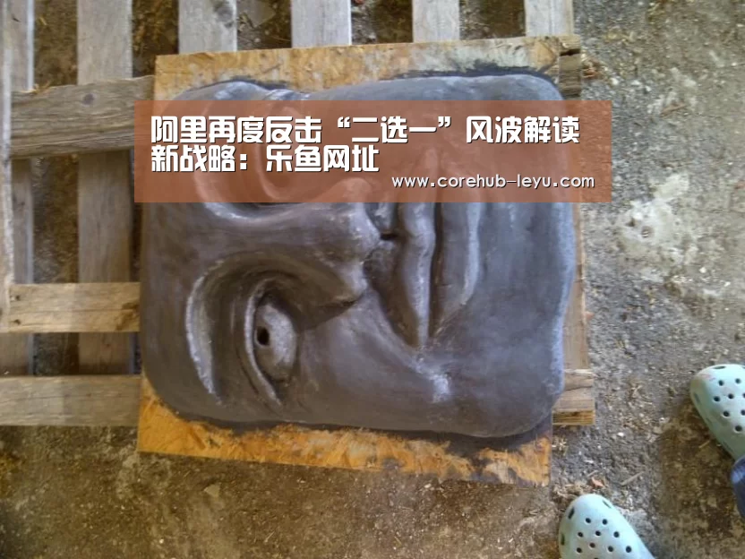 乐鱼网址