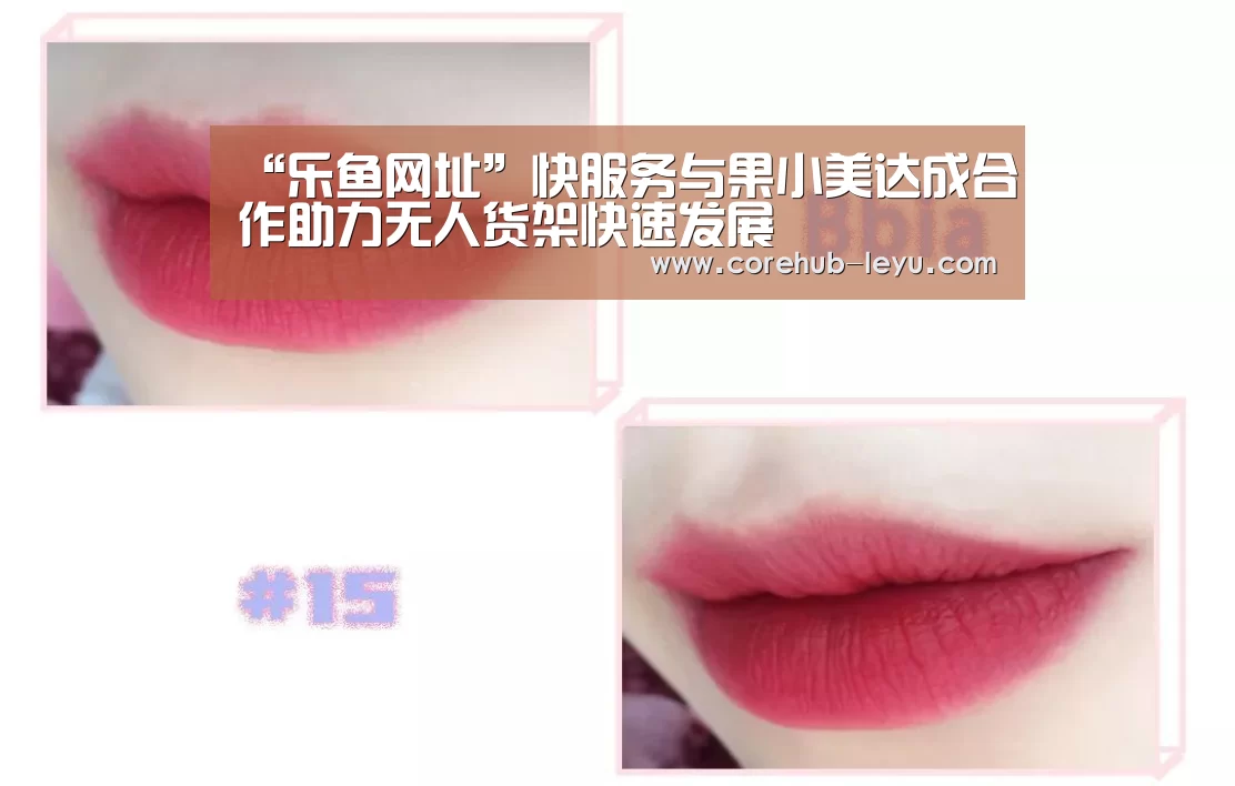 乐鱼leyu登录入口